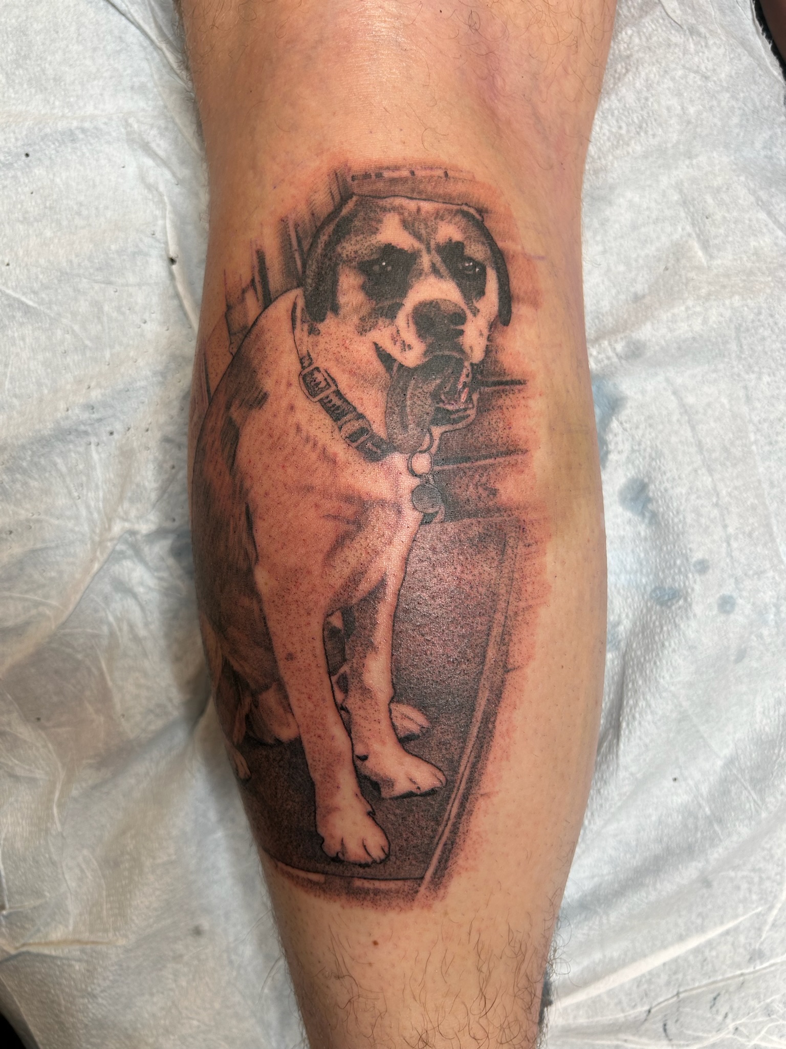Dog pet portrait tattoo